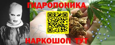 МДПВ Будённовск