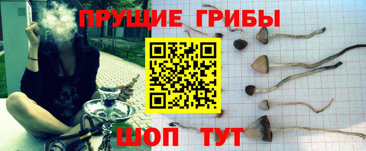 Галлюциногенные грибы GOLDEN TEACHER Бирск