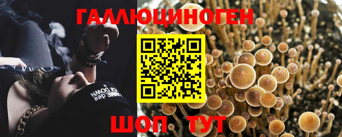 Галлюциногенные грибы мухоморы  Вход с VPN  что такое   Псилоцибиновые грибы прущие грибы  Бирск 